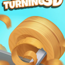 Woodturning 3D
