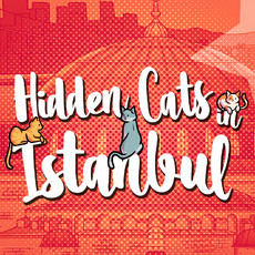 Hidden Cats in Istanbul