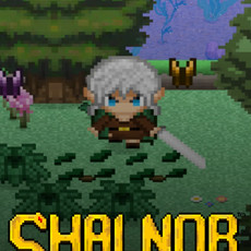 Shalnor: Silverwind Saga