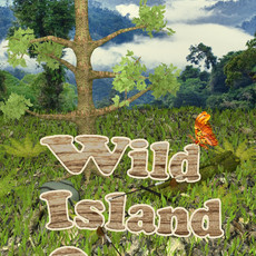 Wild Island Quest