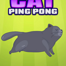 Cat Ping Pong