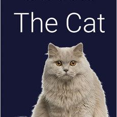 Stroke The Cat