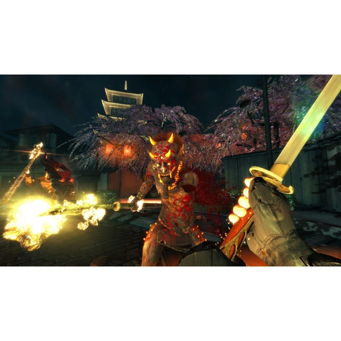 SHADOW_WARRIOR_02