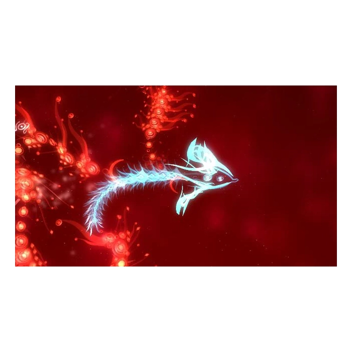 blue_vs_red_manta