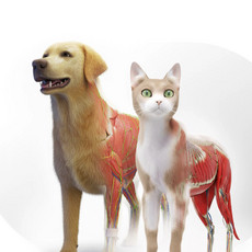 Animal Anatomy VR