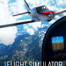 Flight Simulator Delivery 2025 VR