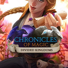 Chronicles of Magic: Divided Kingdom