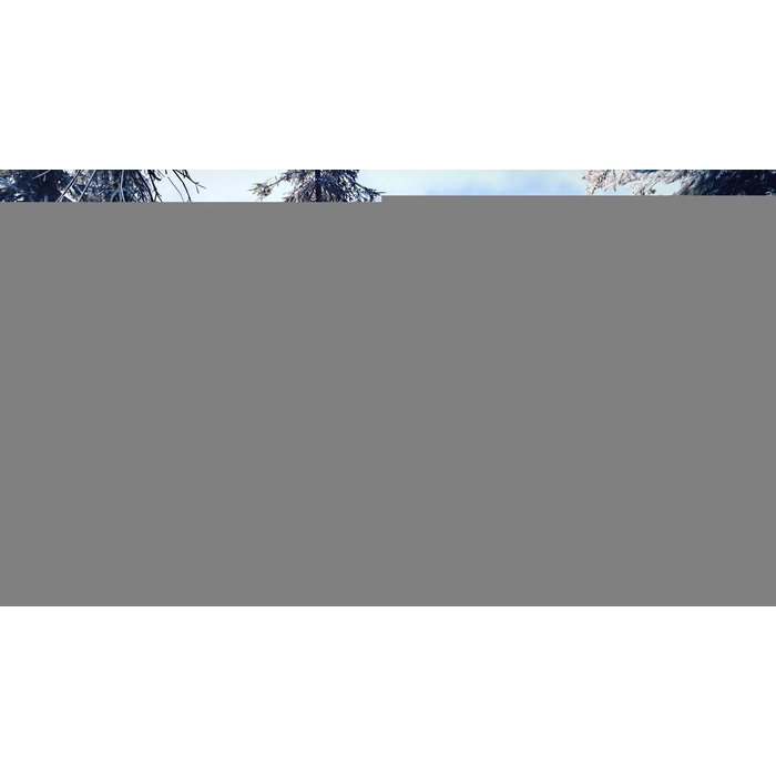 apps.46142.13984361628033830.059e09c1-82f2-410f-95f7-bc08e162d826