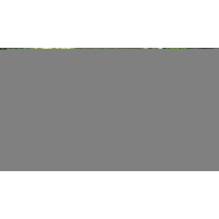 apps.7106.13716714142101315.f4cdf3af-ba37-4fc5-81a1-03b6b99b4a22