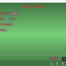 Fruit and Match - X