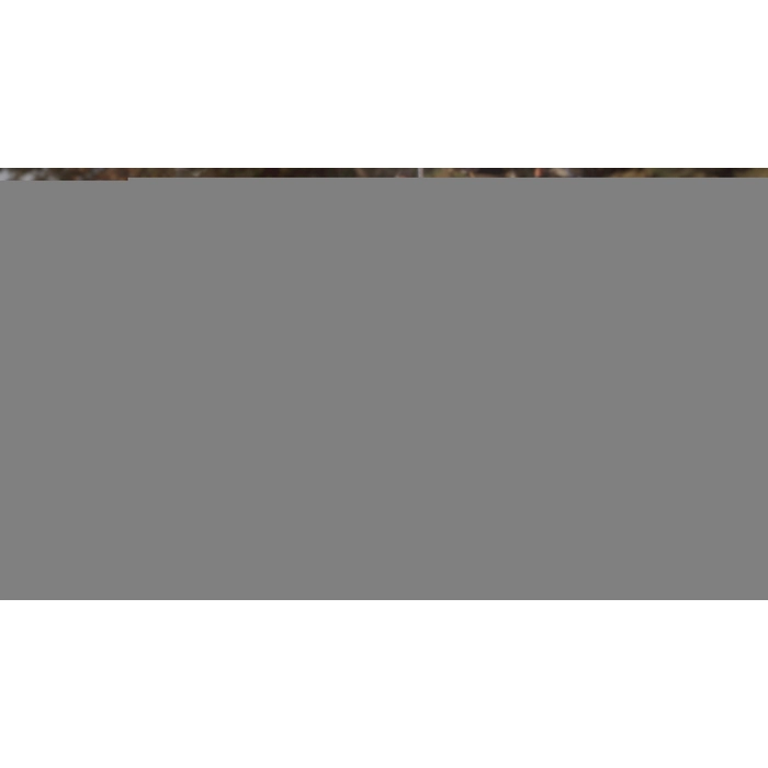 apps.14926.71570974696424073.485bc887-4051-4901-a2a7-73c1542f45e2