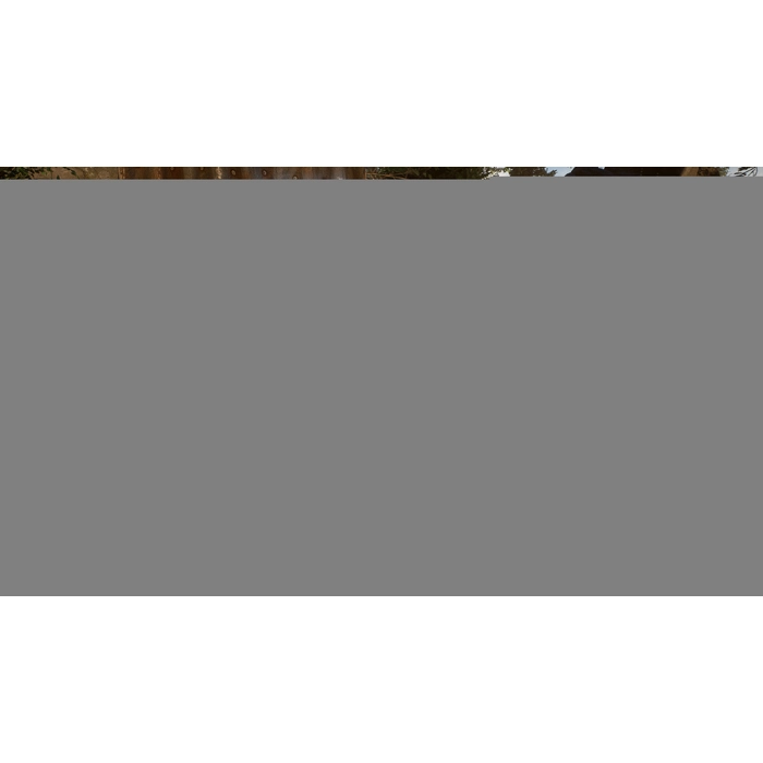 apps.24630.14076139187764028.a692b9d9-e35f-4d26-891c-ce44a0287f21