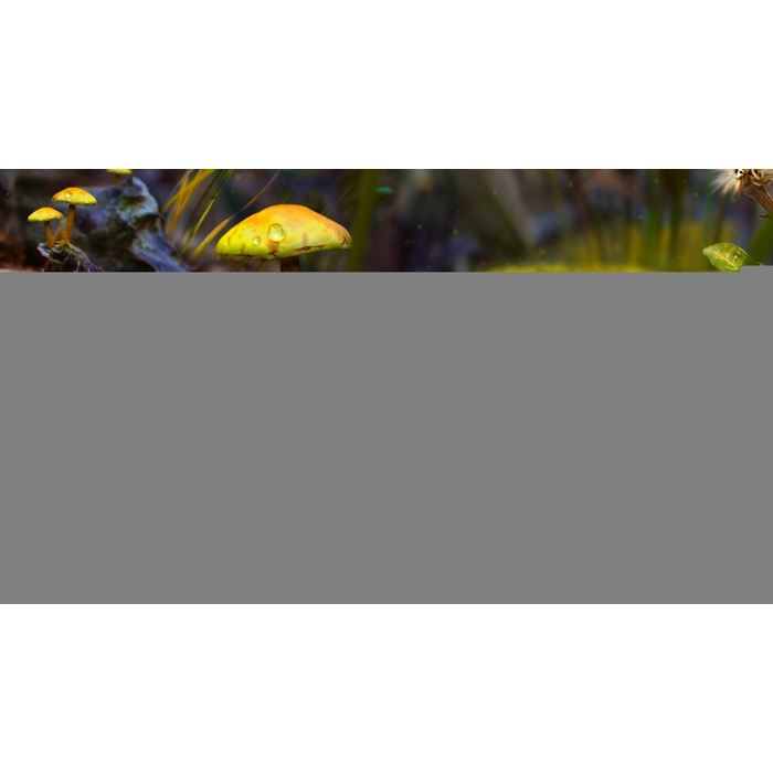 apps.30975.14130898613139335.a7daf3e3-a451-4786-a5ef-0ca0c1a6382a