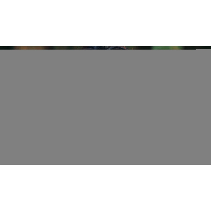 apps.48603.14129647533995265.15bb2d76-eff7-496c-aba2-bcb6e746b27c