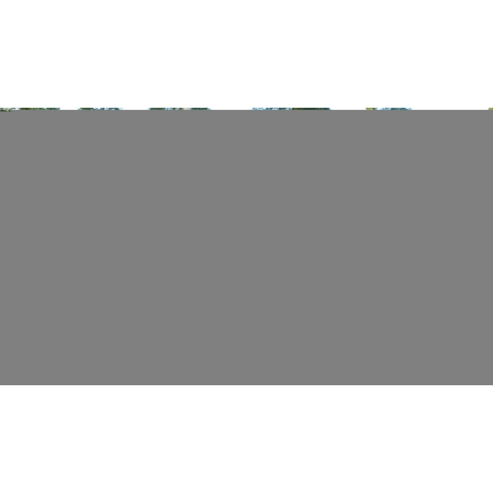 apps.40406.14229724971193324.2000000000010258731