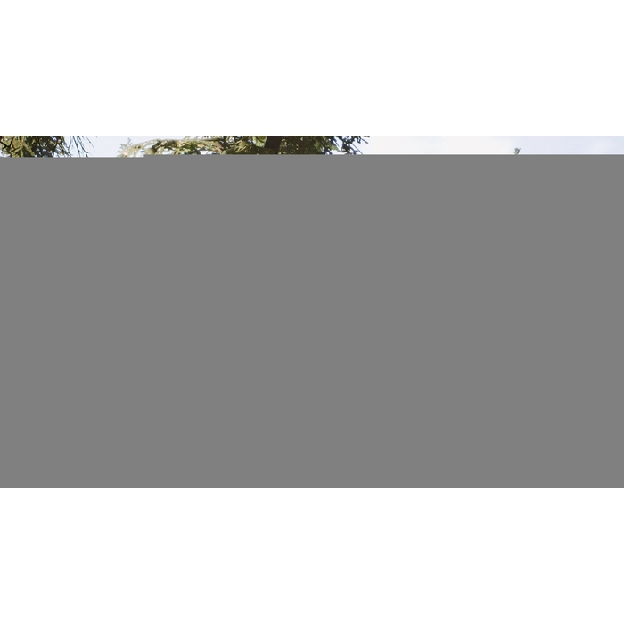 apps.12319.68207916242894170.41329016-866b-4c48-bf69-7bde9c9f3415