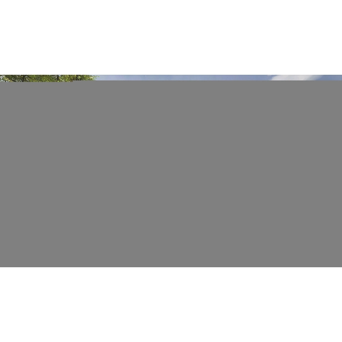 apps.6144.66261947870001438.f933203e-9f45-48ec-8d68-4979ee21de85