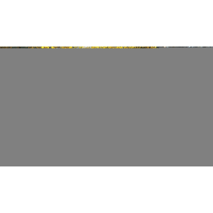 apps.23128.69886306496288395.6a94d0b5-2586-43ef-a202-63611a43ccc2