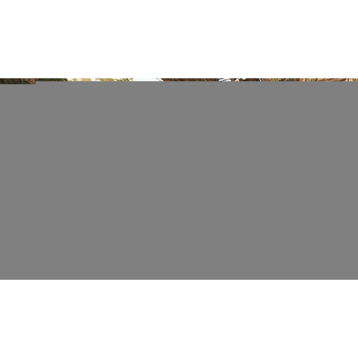 apps.4267.64583105107396734.e16c1290-41ee-4568-af56-5895322aaba0