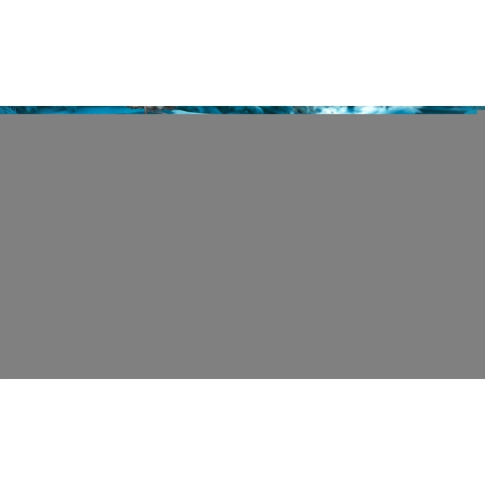 apps.36583.64266607737147175.4661799a-5951-4083-b785-60cfddd0a276