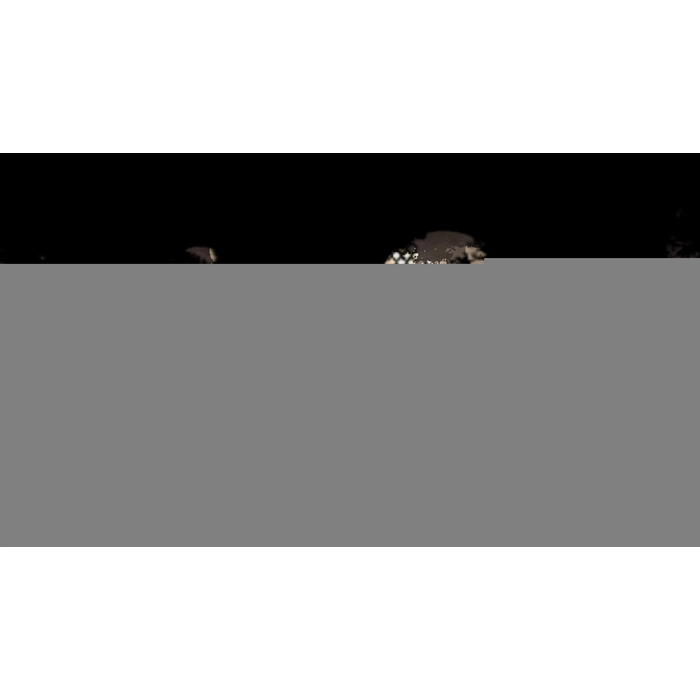 apps.33359.14609228948314679.57b5d232-e029-48c3-a08c-a51885c8f604