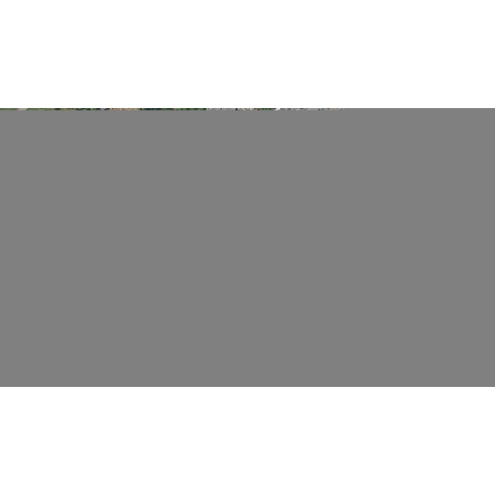 apps.26212.14109342171955492.d589c4cb-6504-408c-bb71-26e77c0c4a23