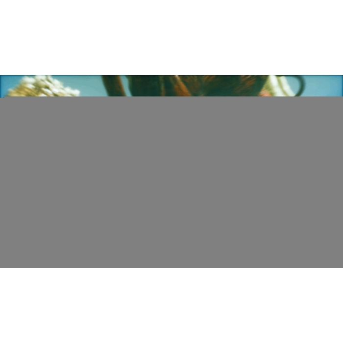 apps.4088.13648218716035070.a6196e67-8837-4f58-9465-e59bec4478fc