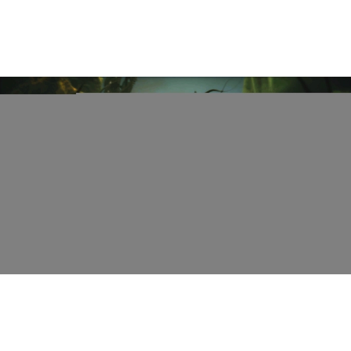 apps.53009.13648218716035070.a6196e67-8837-4f58-9465-e59bec4478fc