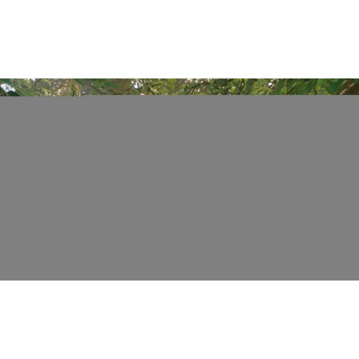 apps.50804.14552845450653782.5f54e03c-ae6c-45c4-879a-4dab61688f1f