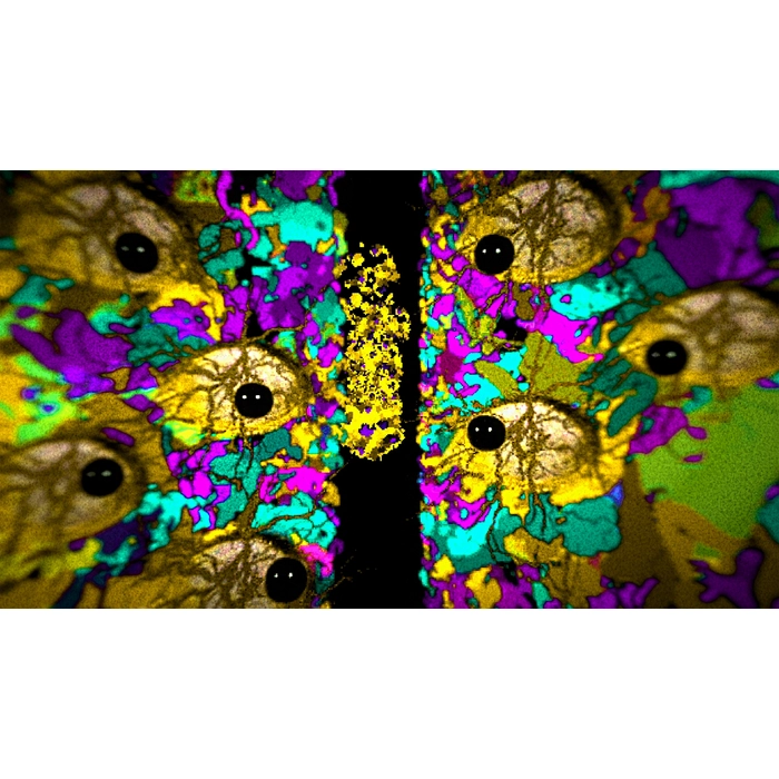 apps.10139.14141454137534667.14a85134-3928-424b-bb0a-eacc31031bbb