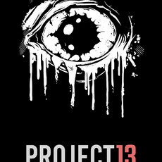 Project 13