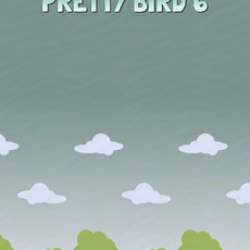 Pretty Bird 6