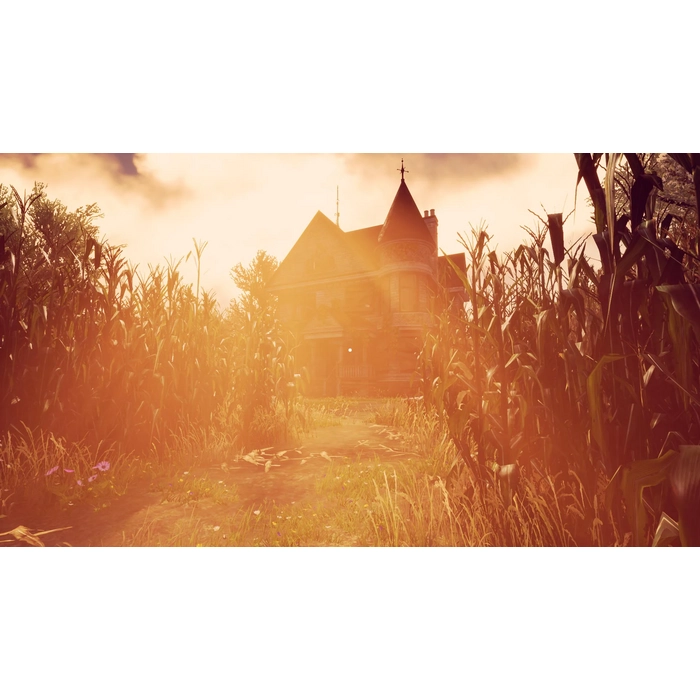 MAIZE_01