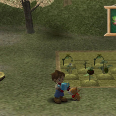 Harvest Moon®: A Wonderful Life Special Edition