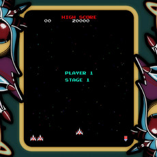 ARCADE GAME SERIES: GALAGA