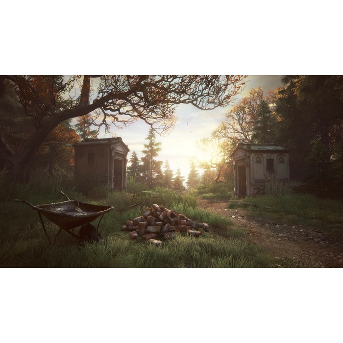 The_Vanishing_of_Ethan_Carter_02