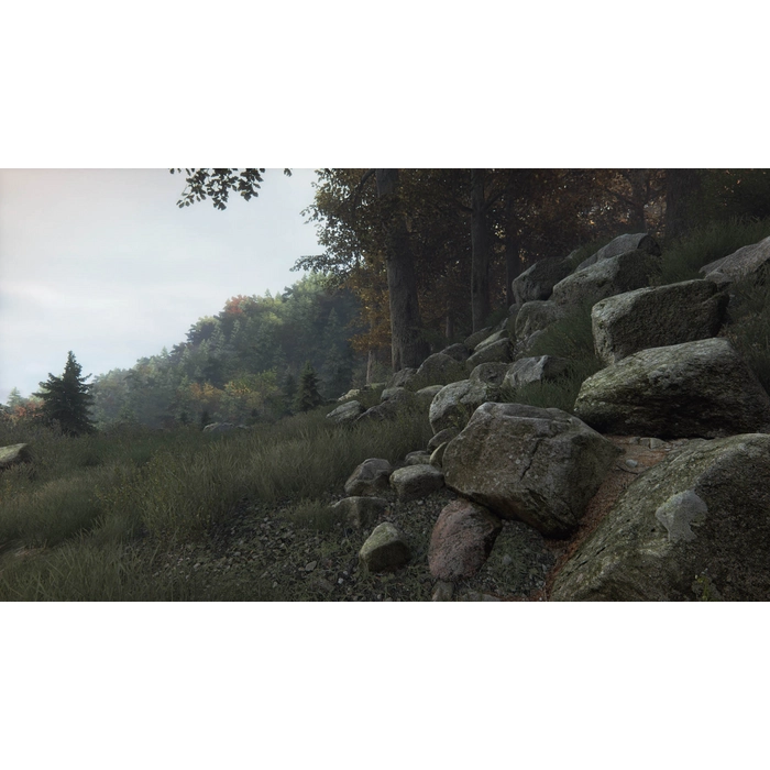 The_Vanishing_of_Ethan_Carter_04