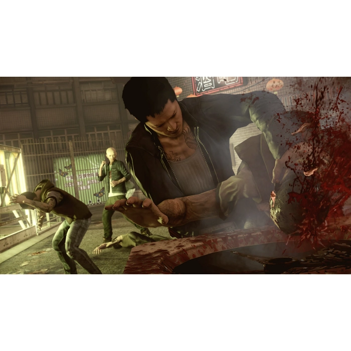 SLEEPINGDOGS_02