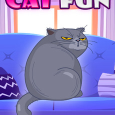 Cat Fun