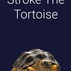 Stroke The Tortoise PS5