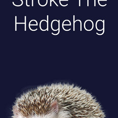 Stroke The Hedgehog PS5