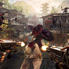 The Shadow Warrior Collection PS4