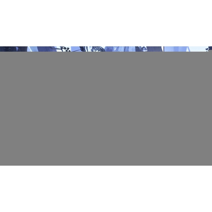 apps.2839.14594123891780539.00af9b8b-b29b-4dce-b2e9-8fb0a3cf8363