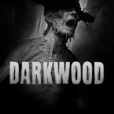 Darkwood - Special Edition PS4