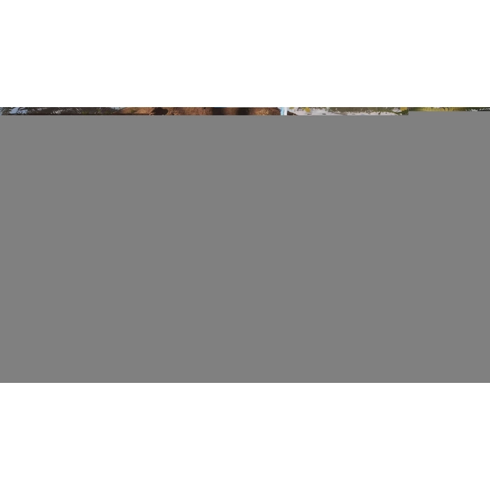 apps.7711.14096450058773879.288eb348-8c34-4549-af7c-d9c64e9306ec