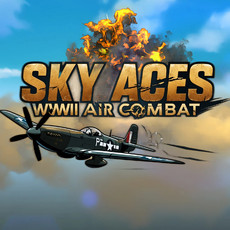 Sky Aces: WWII Air Combat PS4