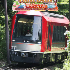 Japanese Rail Sim: Hakone Town of Natural Beauty and Hot Springs PS4