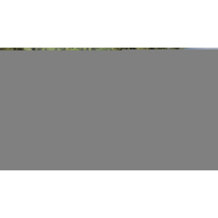 apps.9784.14115334705906023.13f8150b-7903-44d8-a6fa-d7ff7072c0dc