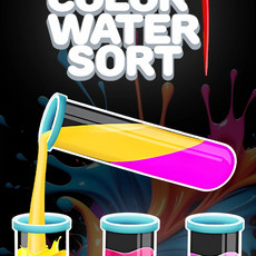 Color Water Sort PS4 Standard Edition