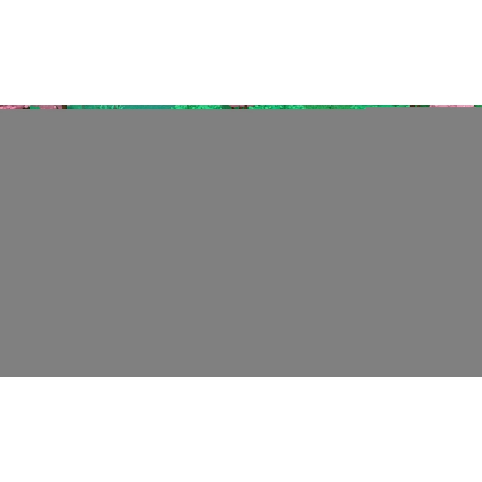 apps.48104.14115116049158594.f927a23c-14fa-4414-9818-289851b24f40